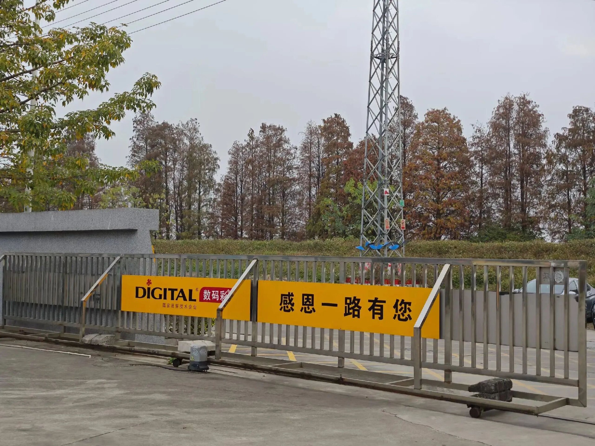 数码彩“老窝”新春家宴，简约却有大底气