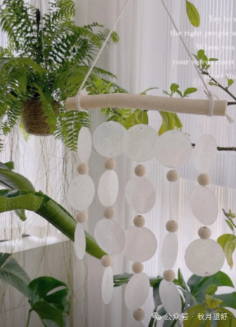 这些居家好物简直太好用了，速速买！