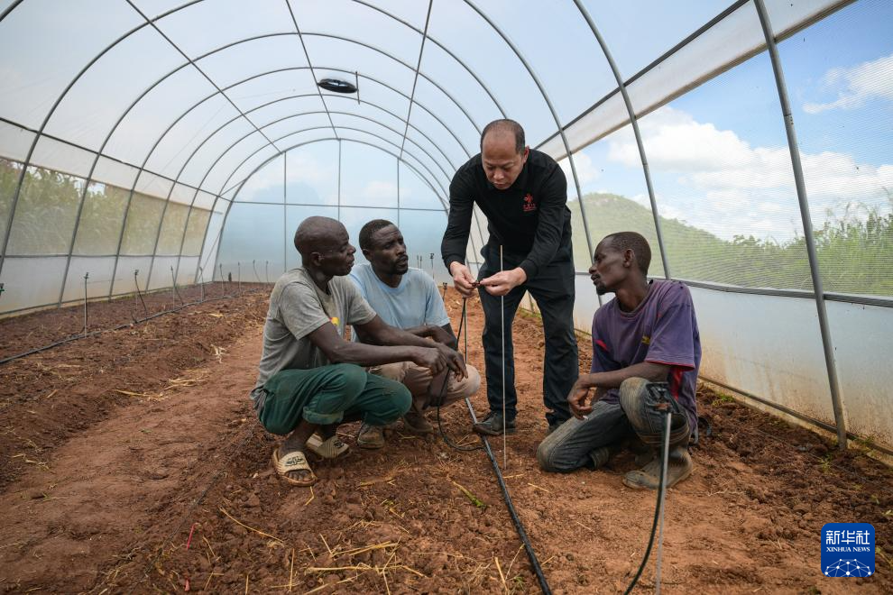 科技润土 浇灌希望——走进津巴布韦中津农业合作示范村
