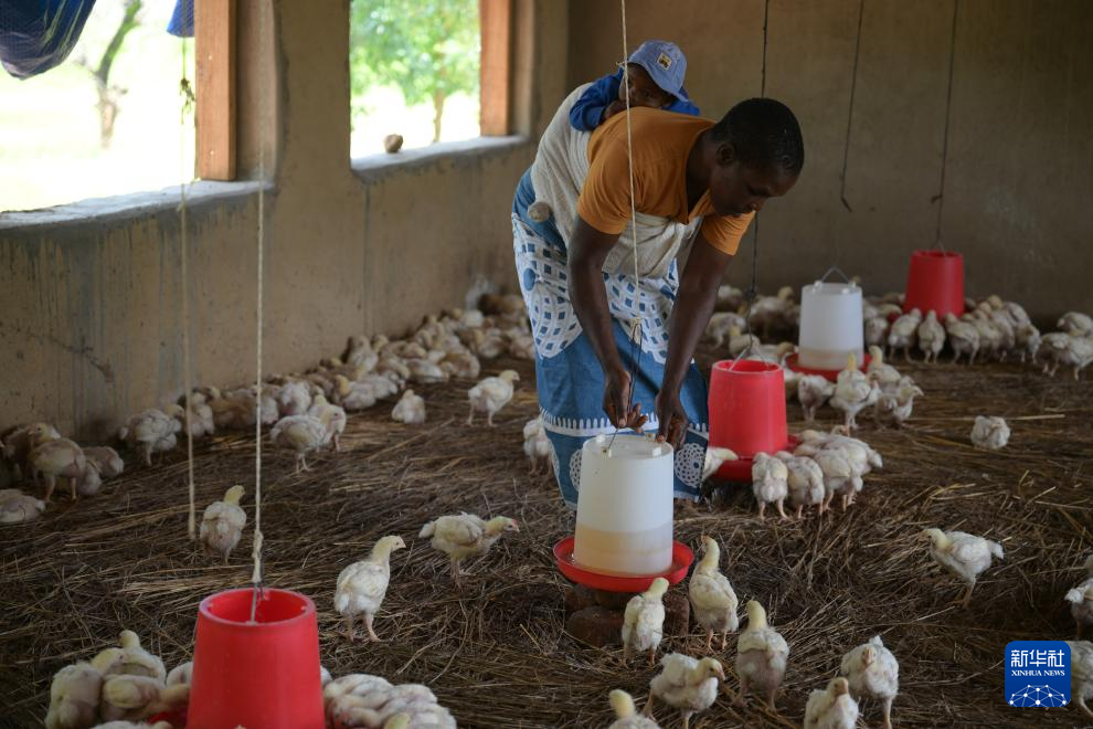 科技润土 浇灌希望——走进津巴布韦中津农业合作示范村