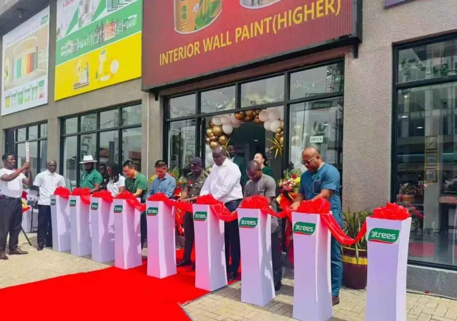 三棵树的远征：中国涂料全球化的体系突围【瞰深一度】