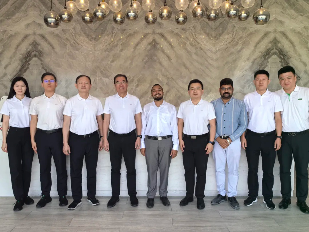 三棵树的远征：中国涂料全球化的体系突围【瞰深一度】