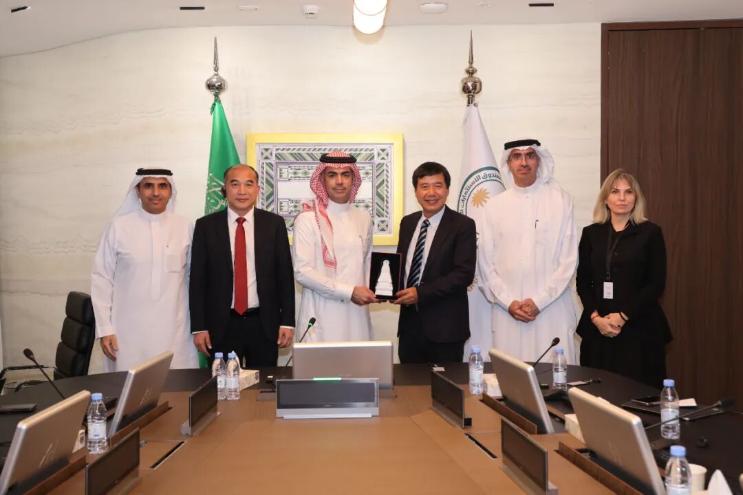 三棵树的远征：中国涂料全球化的体系突围【瞰深一度】