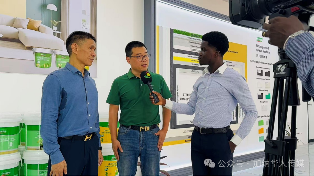 三棵树的远征：中国涂料全球化的体系突围【瞰深一度】