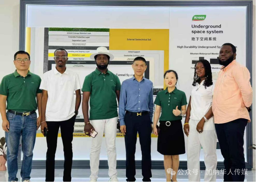 三棵树的远征：中国涂料全球化的体系突围【瞰深一度】