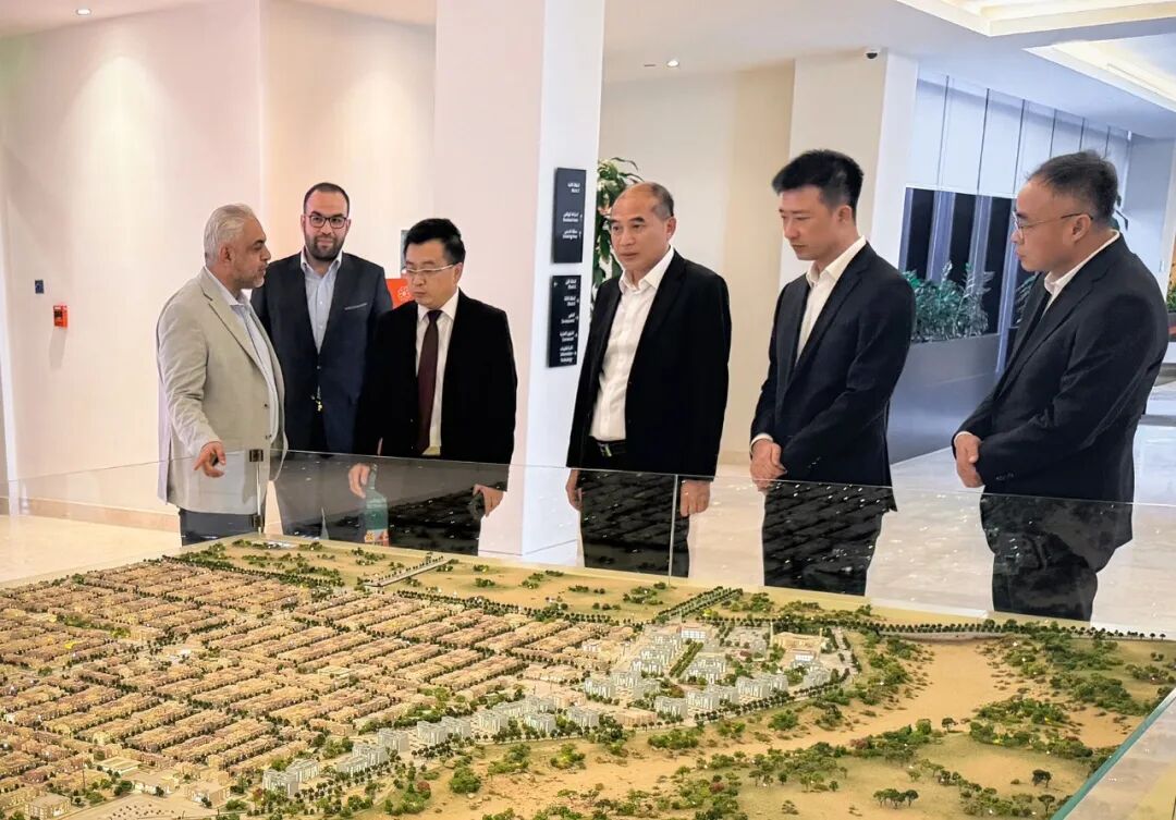 三棵树的远征：中国涂料全球化的体系突围【瞰深一度】