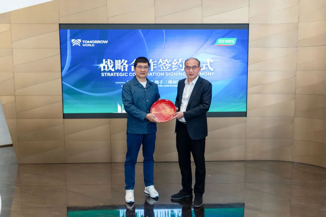 三棵树的远征：中国涂料全球化的体系突围【瞰深一度】