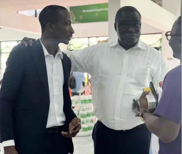 三棵树的远征：中国涂料全球化的体系突围【瞰深一度】