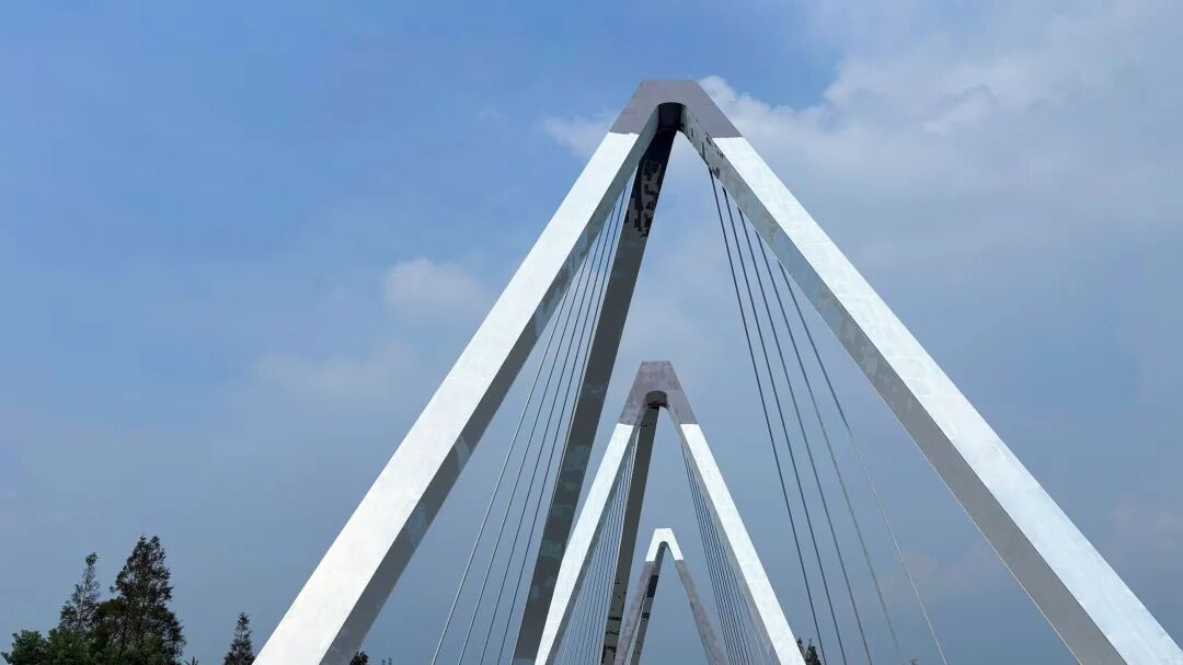 绿色防护 恒久守护：三棵树工业涂料助力上海崇明东平河大桥焕新启航