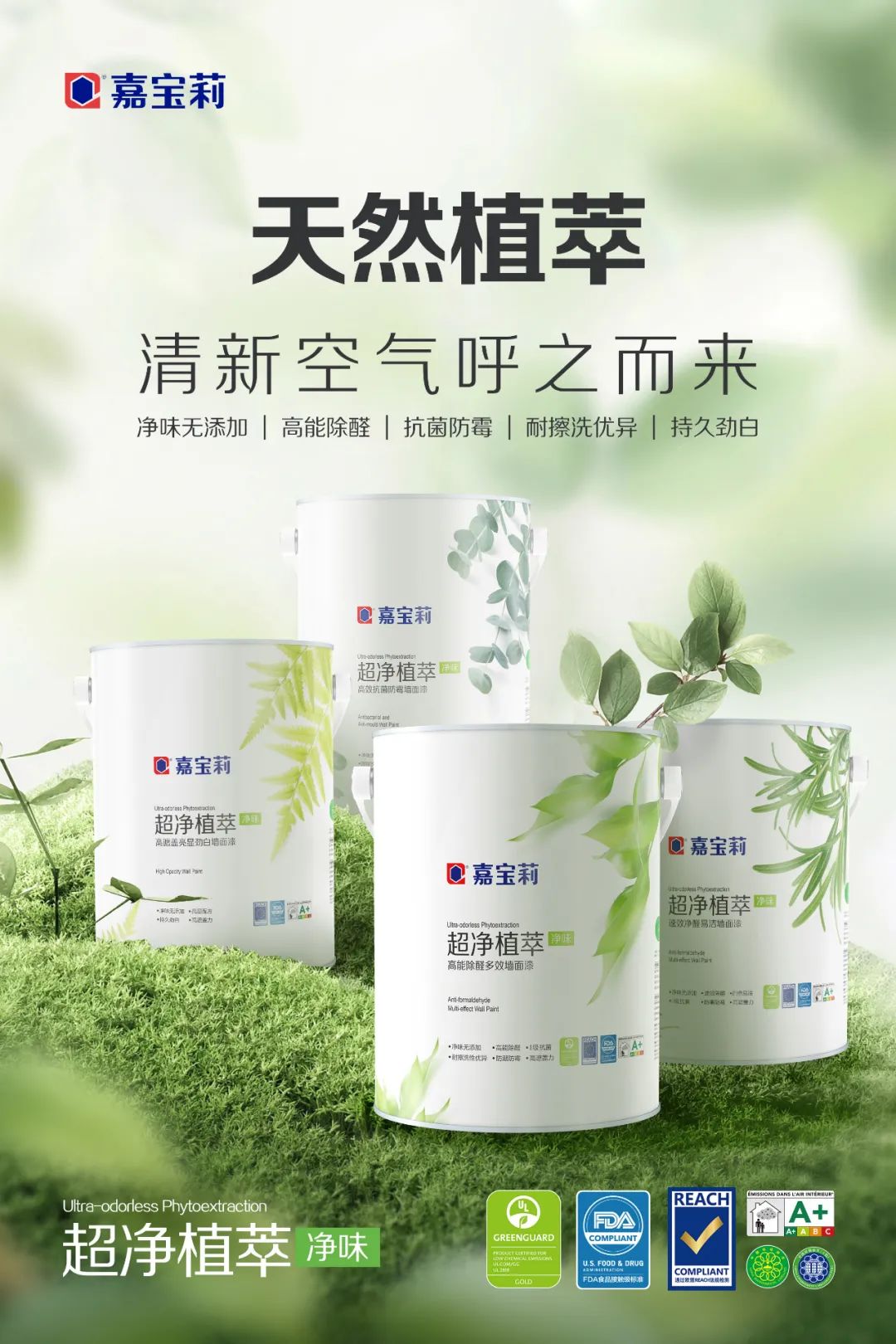 北新嘉宝莉获得“国检i+”气味金级产品认证