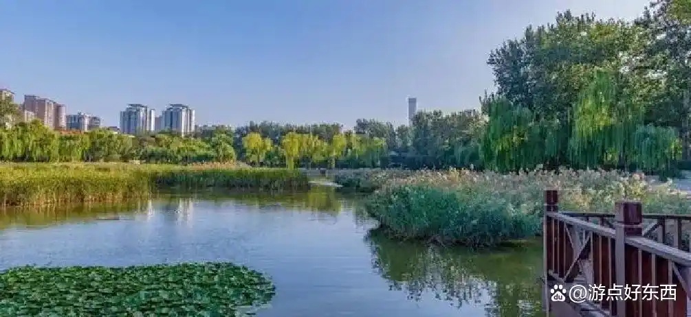 毫无疑问，世界十大最美城市，中国南京入榜，震撼全球！