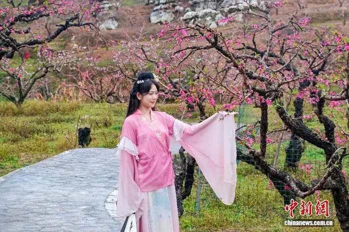 粤赣三地共赴“桃约” 奏响生态文旅春之曲