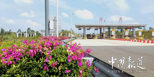 【绿美广东】绿美交融，绘出湾区后花园“道”处风景