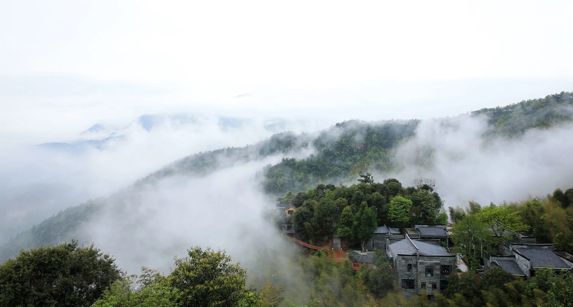「走进森林 乐享健康」激活绿色崛起新动力——赣州大力发展森林旅游纪实