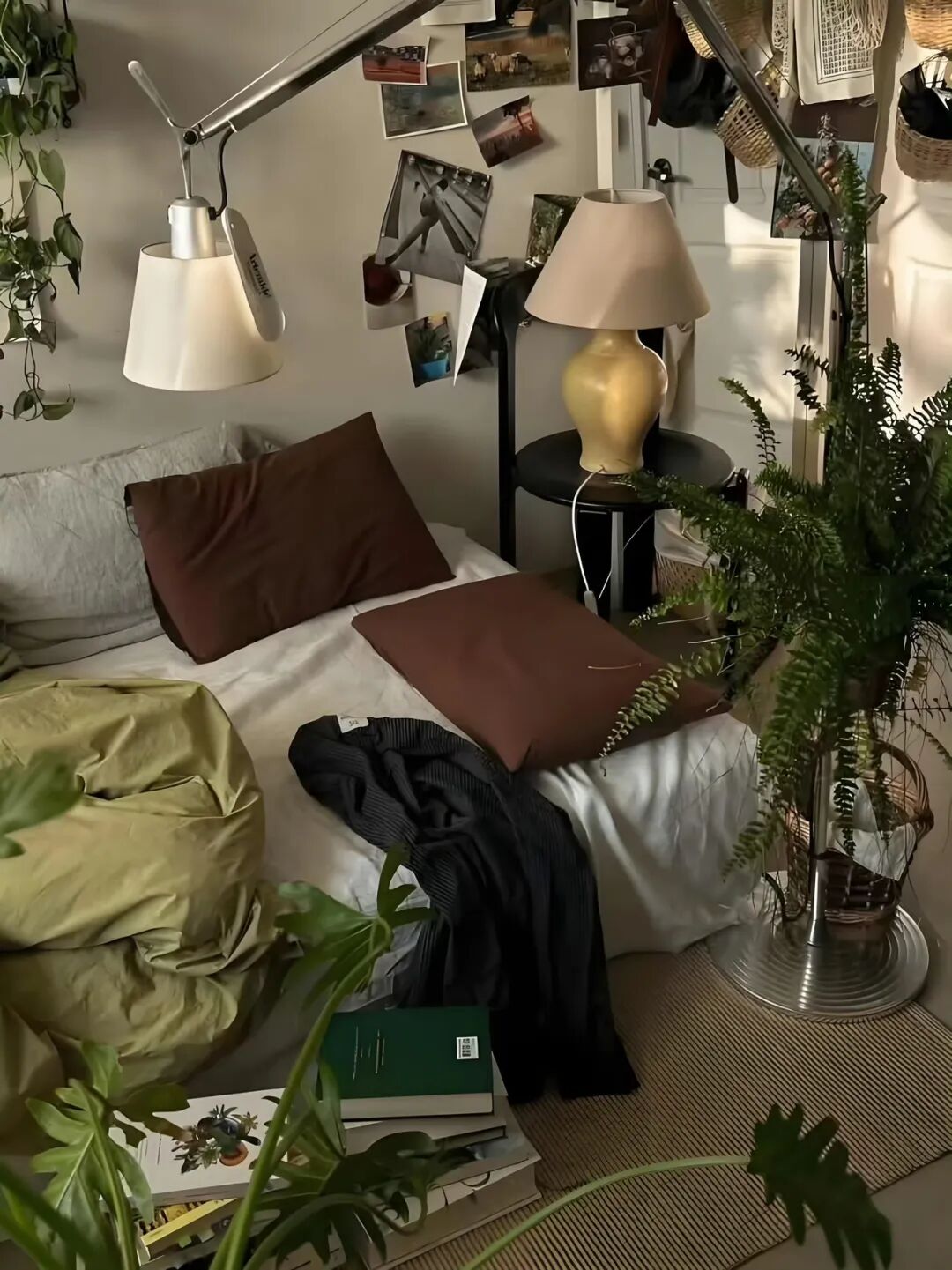 家不该是精致的标本