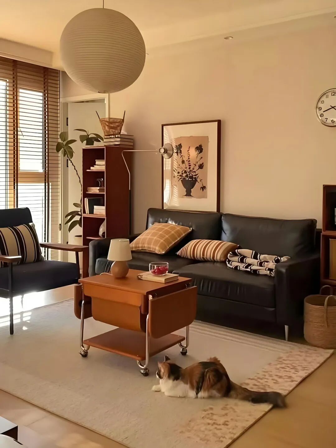 家不该是精致的标本