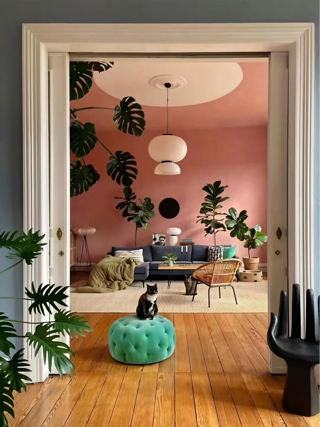 多巴胺玩转百年公寓