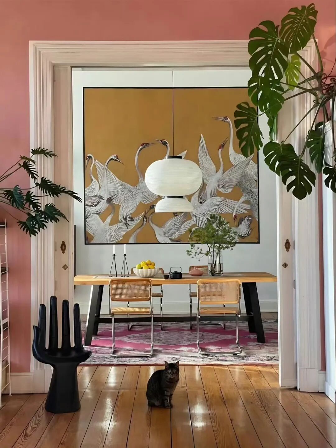 多巴胺玩转百年公寓