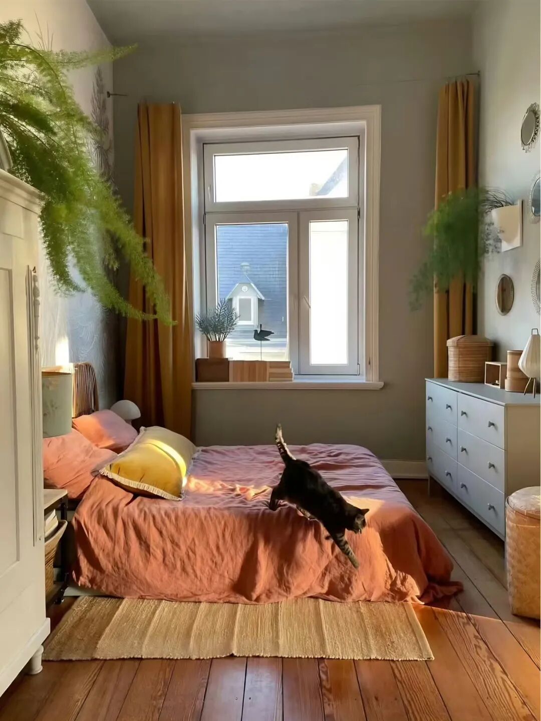 多巴胺玩转百年公寓