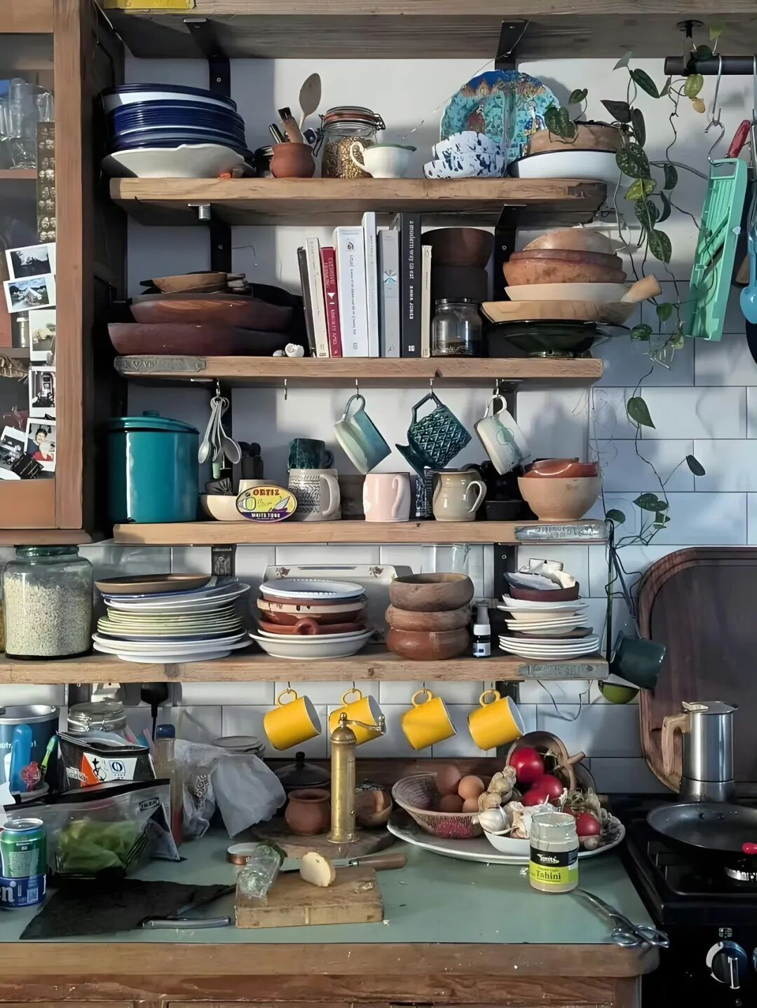 摆烂‘也是一种浪漫 