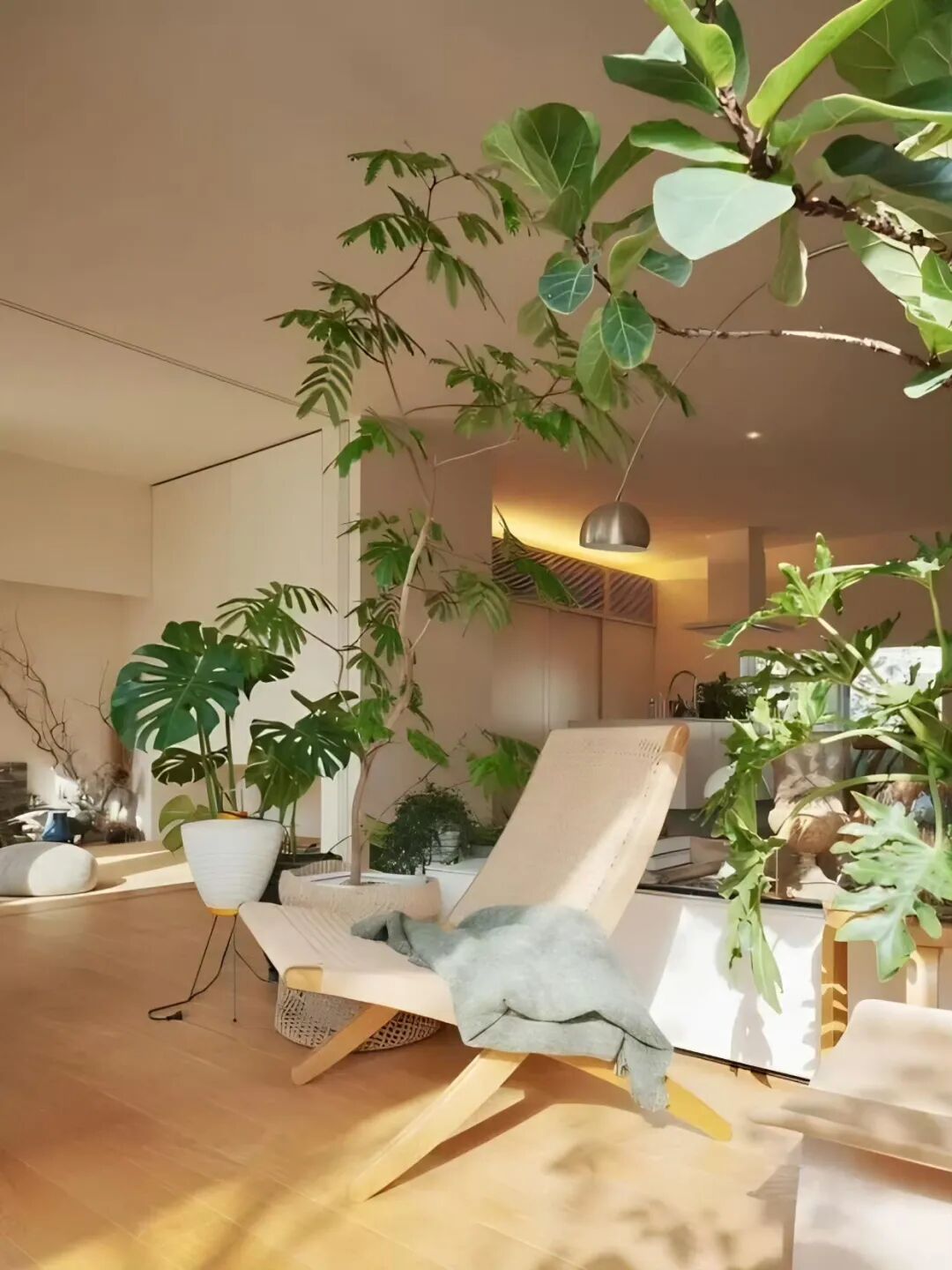 都市里的秘密森林