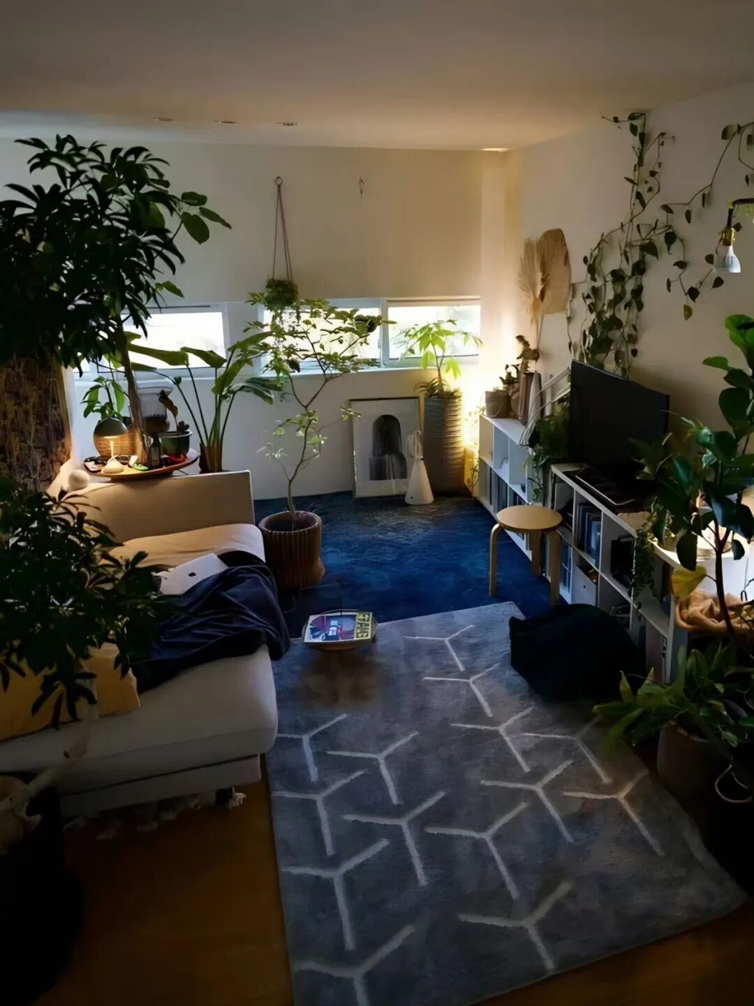 都市里的秘密森林