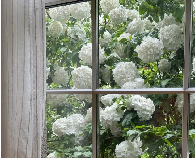 入住后才发现：家里最实用的设计是这8个，少一个都住不舒适