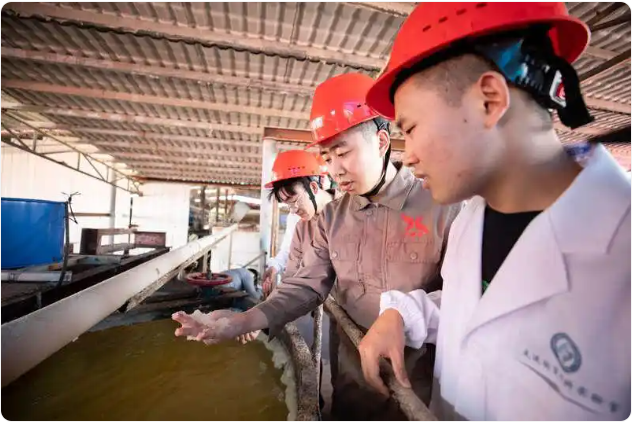 理工男的创业传奇：将工业废料变成生产原料