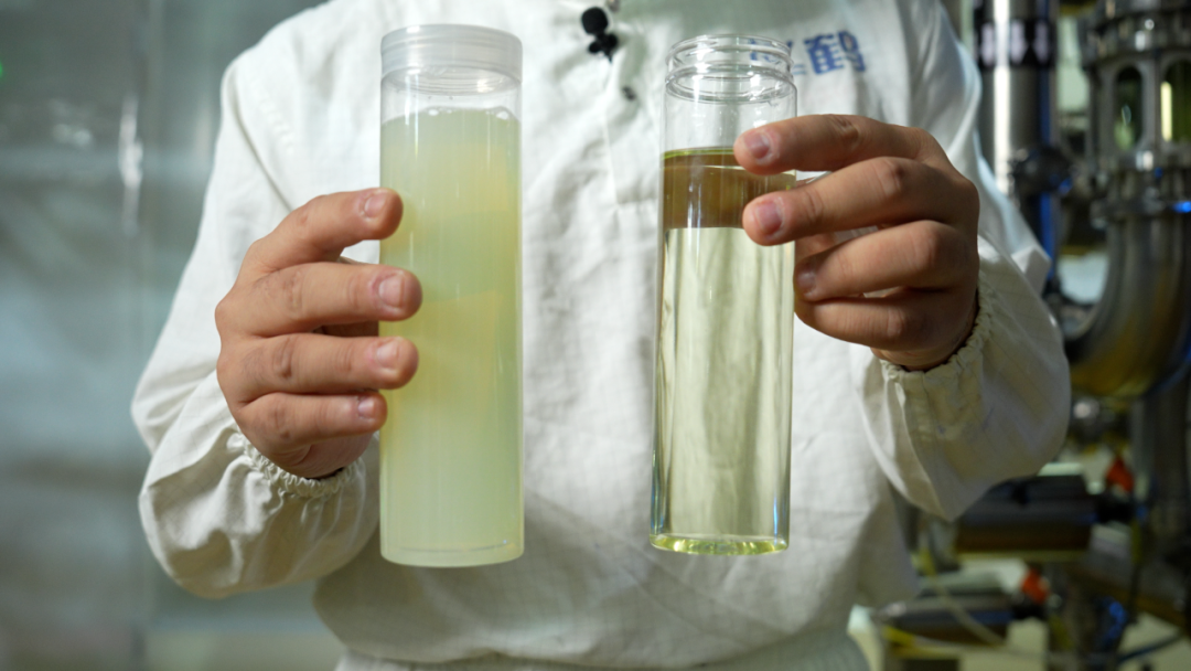 对话飞鹤冷友斌：为了这个转型，我们埋头准备了多年｜连线两会