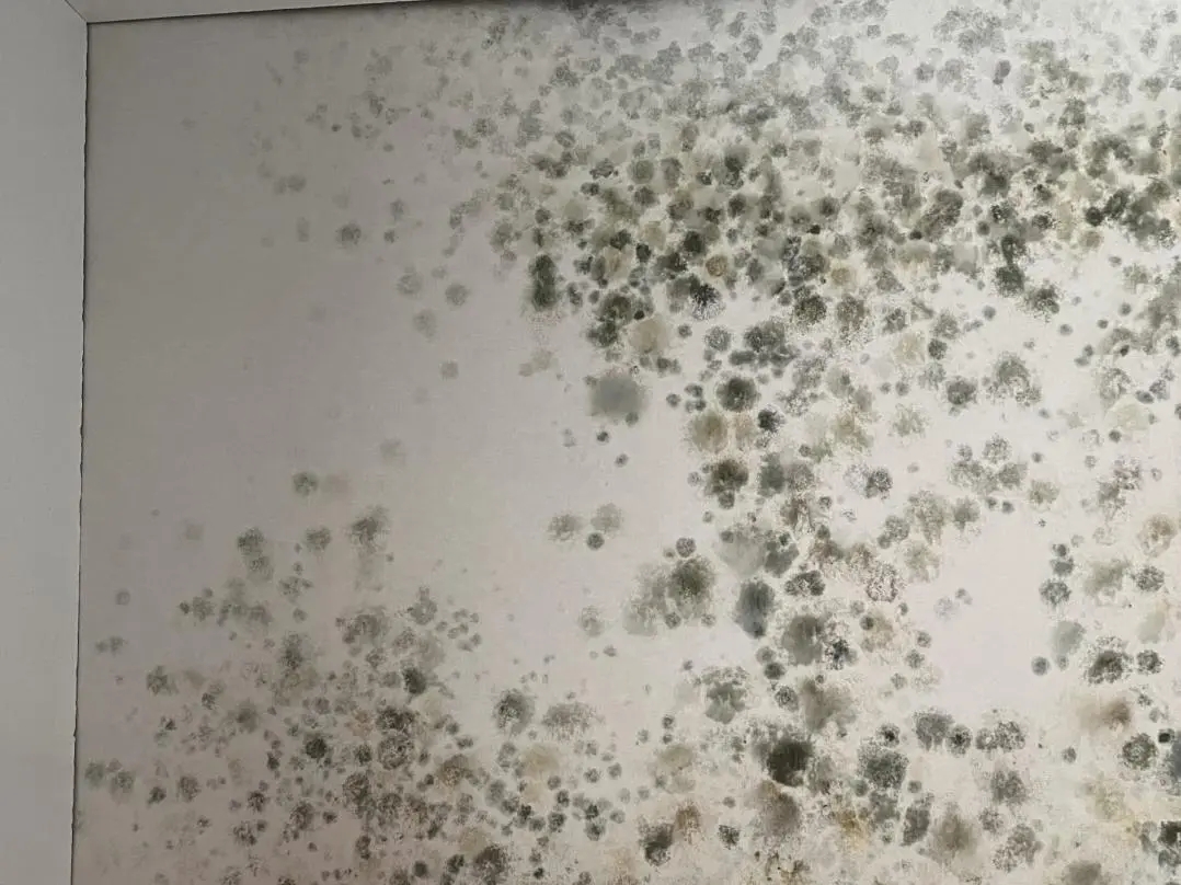 装修内行不说的秘密：墙面好不好，全看腻子选得对不对 