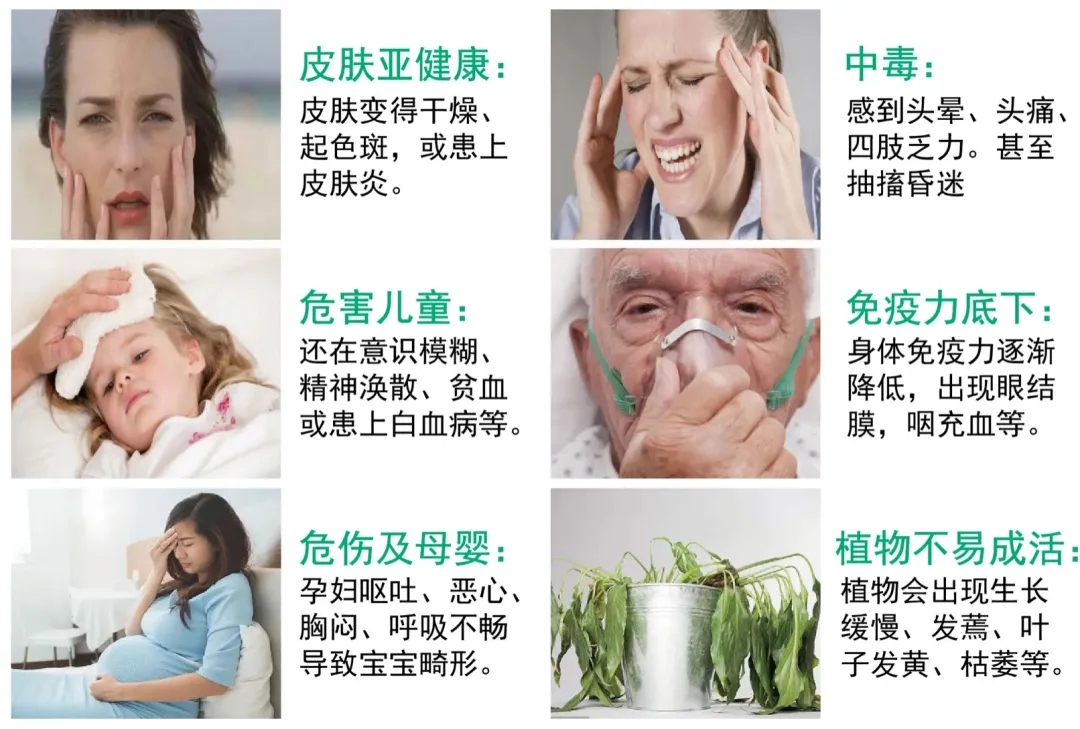 装修内行不说的秘密：墙面好不好，全看腻子选得对不对